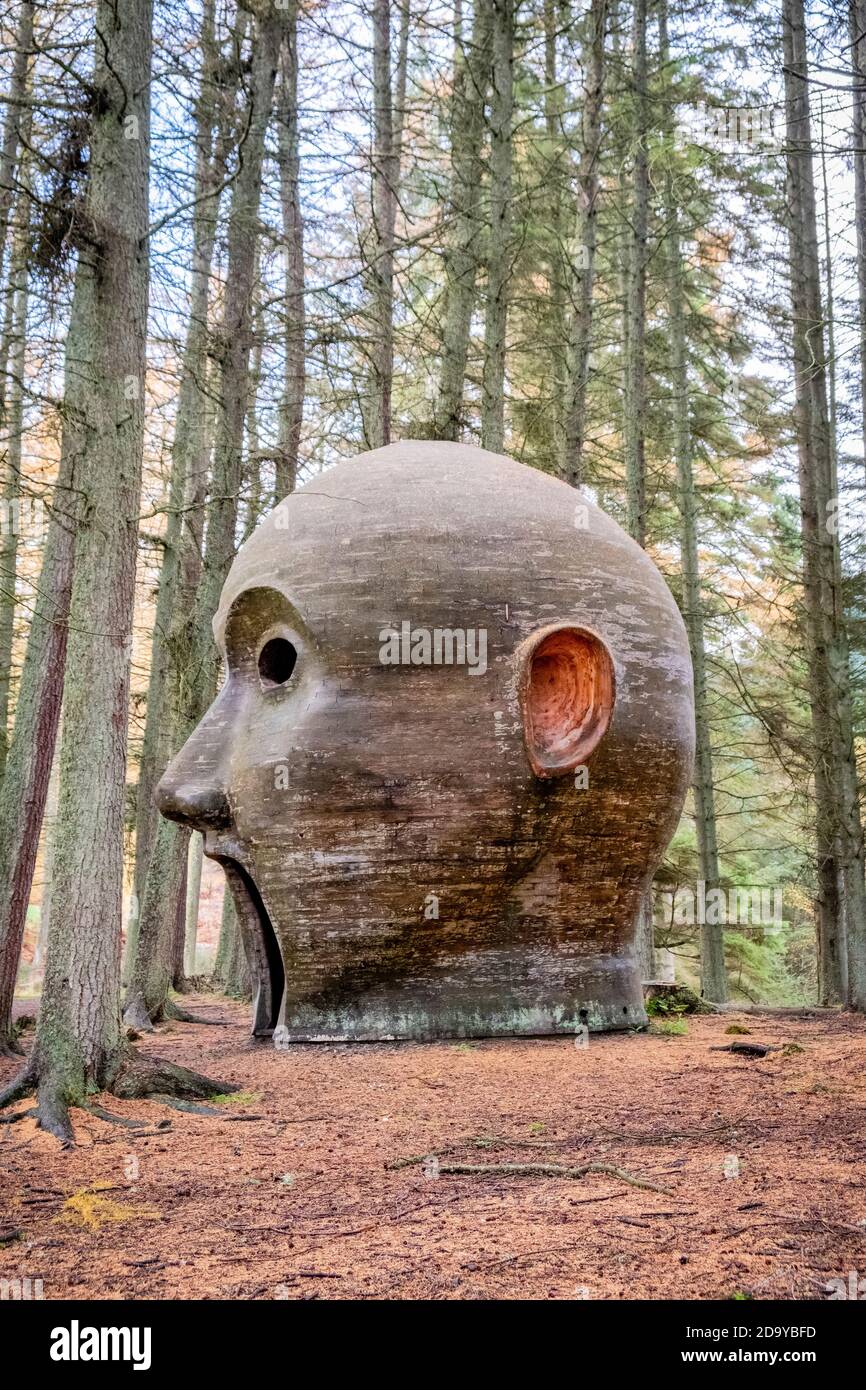 The Silvas Capitalis, wooden head sculpture, Kielder, Northumberland