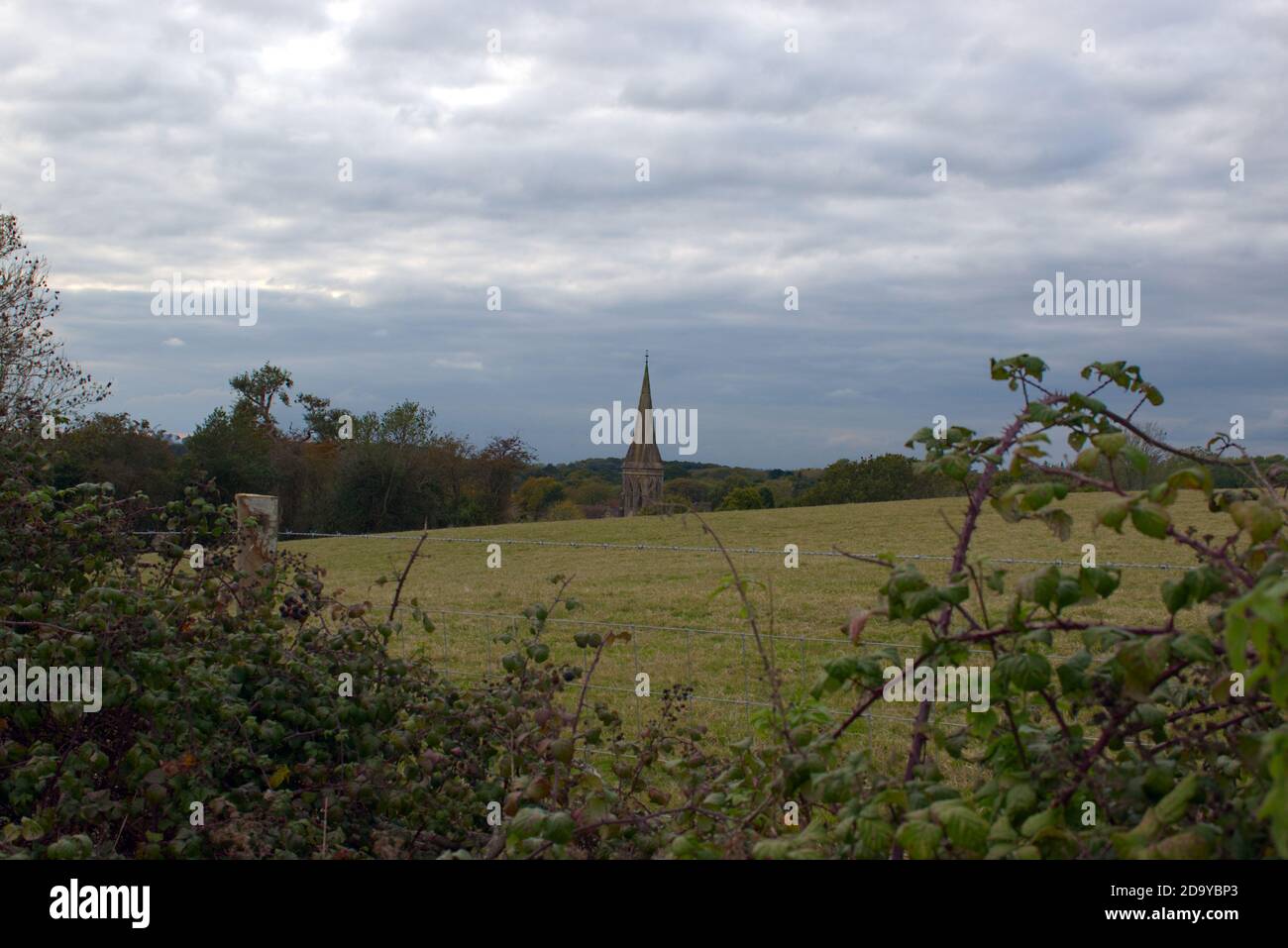 A church spire seen through a gap in a hedge in the countryside on a cloudy day. Stock Photo