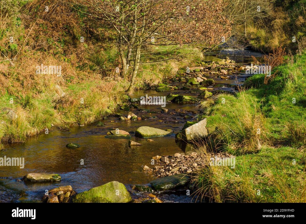 Lead Mines Clough Bench Rivington 11 Lead Mines Clough Bench Rivington 11
