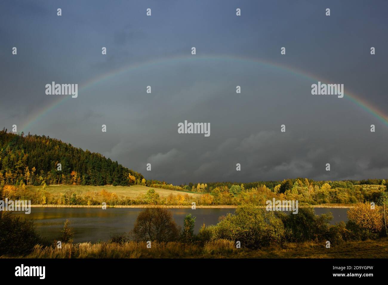 Rainbow and sunbeams illuminate fall meadow.Beautiful intense rainbow