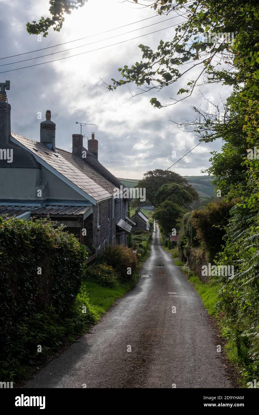 view down Newhouses Lane, Chivelstone, Devon, black and white Stock Photo