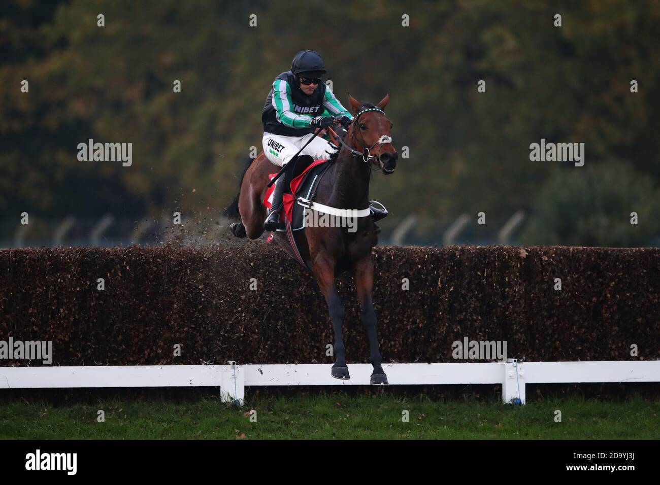 Pym horse hi-res stock photography and images - Alamy