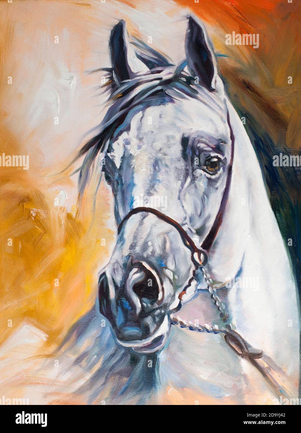 White arabian horse oil on canvas original artwork hand made Stock Photo