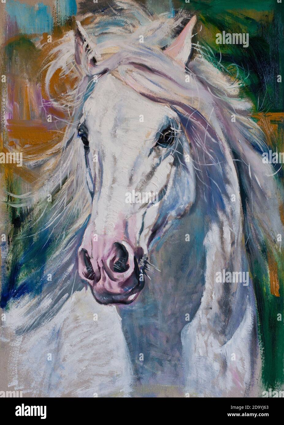 Horse head portrait original artwork oil on canvas painting Stock Photo