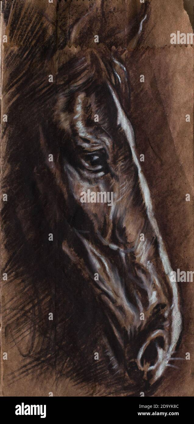 Horse head portrait drawing charcoal on brown paper Stock Photo Alamy