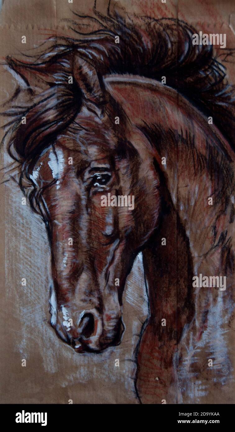 Horse head portrait drawing charcoal on brown paper Stock Photo Alamy