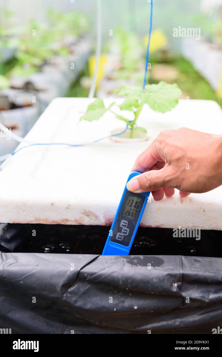 Check pH value of water bin of hydroponics system Stock Photo Alamy