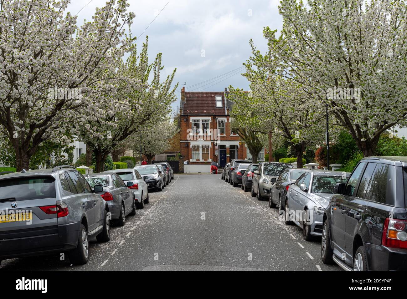 quiet tree-lined residential street, St Elmo Road, London W12 Stock Photo