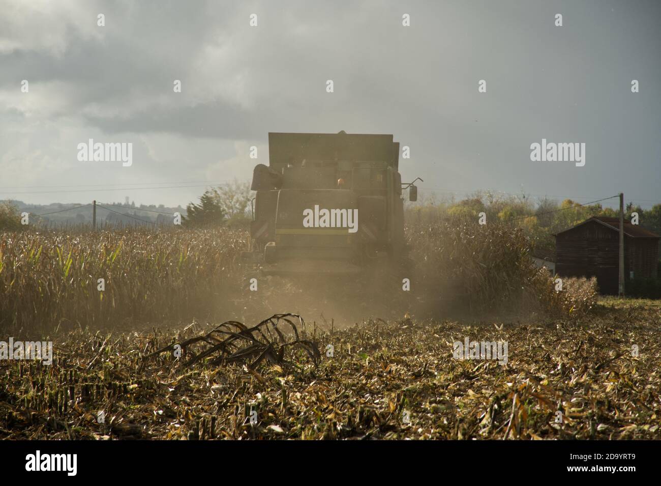 Combine harvester harvesting maize in the Dropt valley near Duras, Lot-et-Garonne, France. Stock Photo