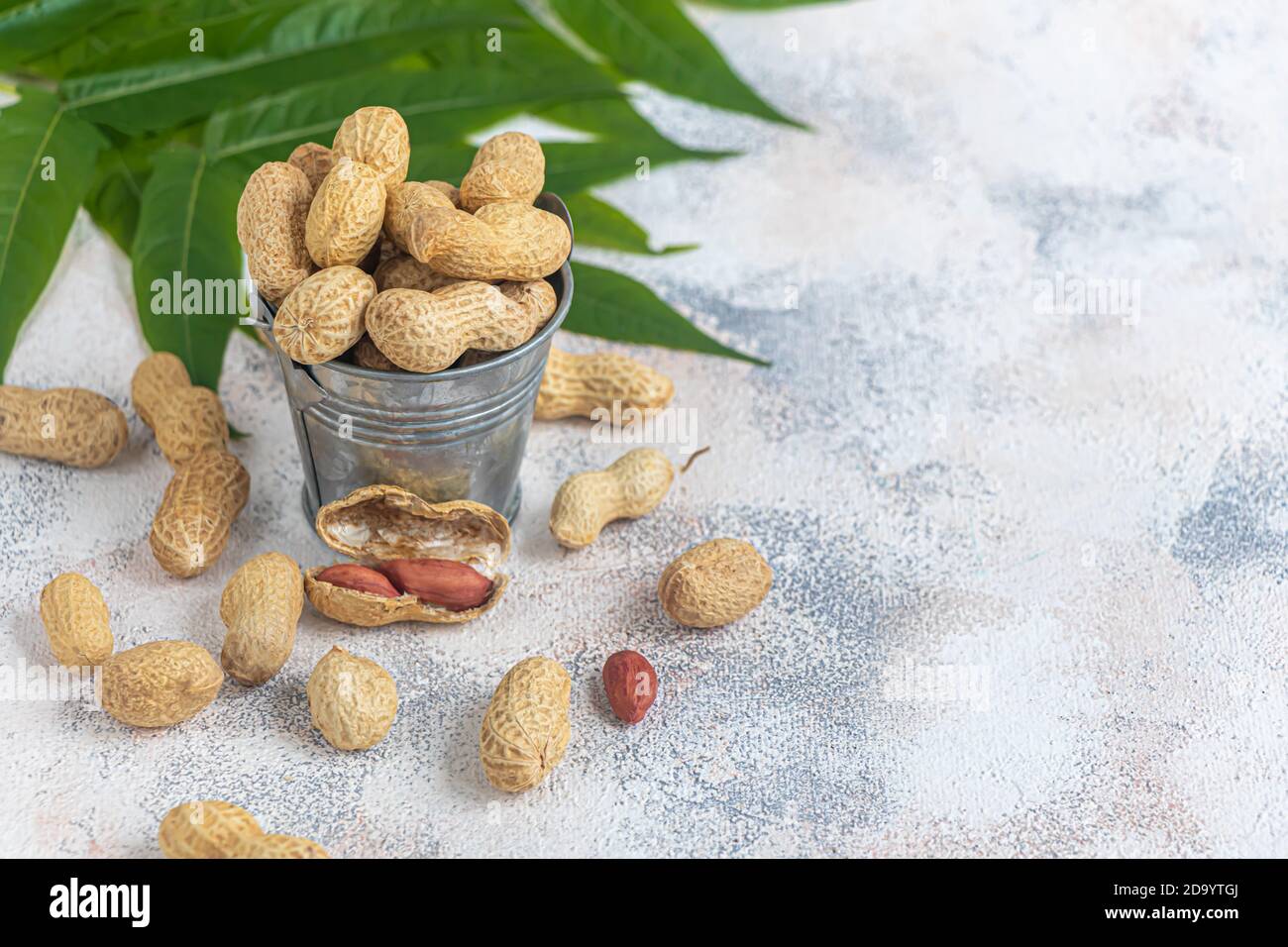 Peanuts Contains Beneficial Vitamins And Minerals On A Gray Background Copy Space Stock Photo Alamy