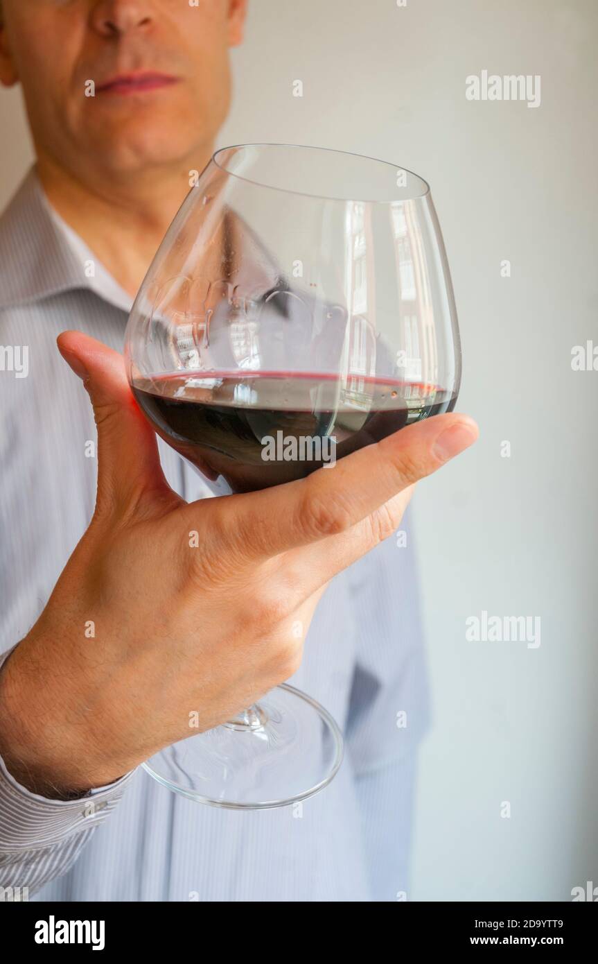 Wine taster appreciating a red wine Stock Photo Alamy