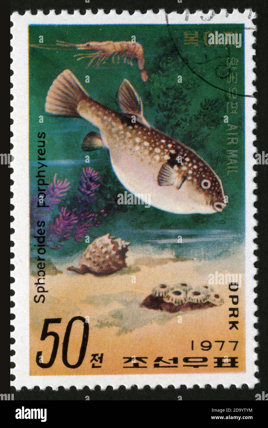 Stamp print in Korea,1977, animals,shells, molluscs,Sphoeroides porphyreus Stock Photo