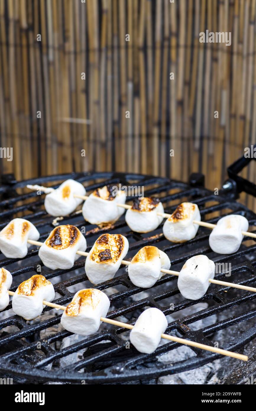 grilled skewers of marshmallow as dessert Stock Photo Alamy