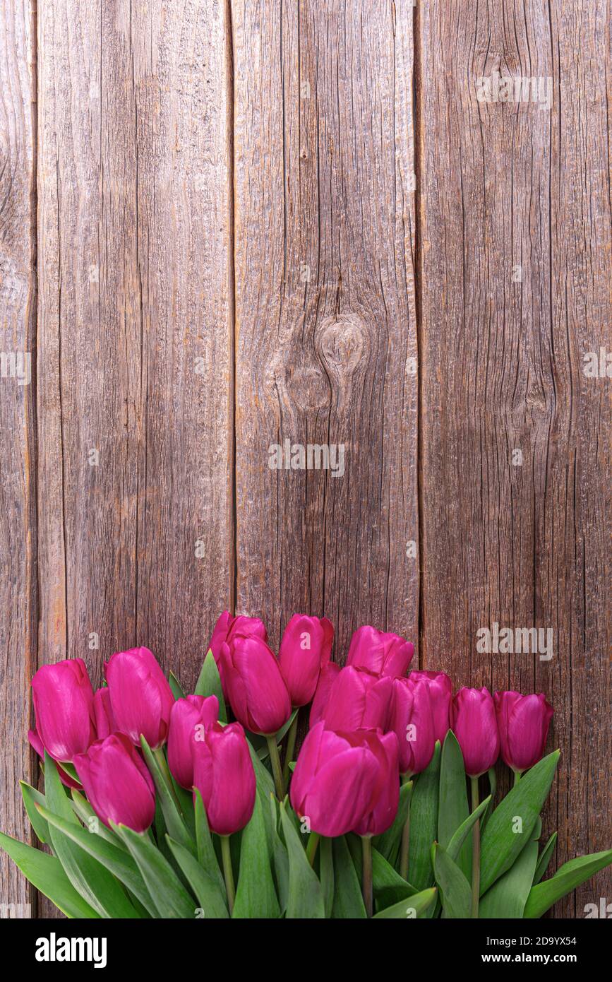 A bouquet of pink tulips on a wooden plank table Stock Photo - Alamy