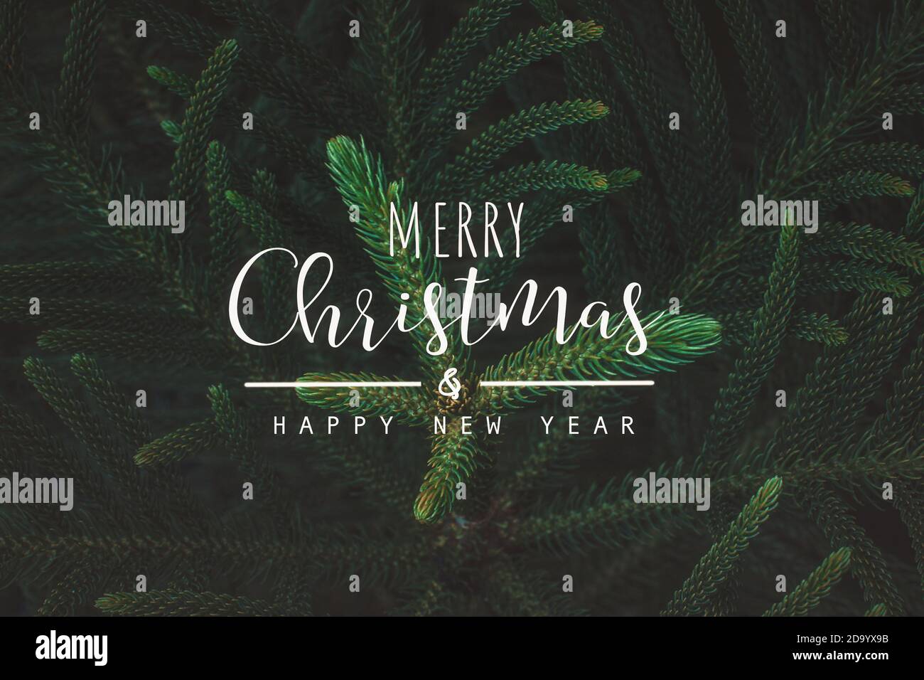 merry christmas and happy new year text on Fir tree branch ,Great for ...