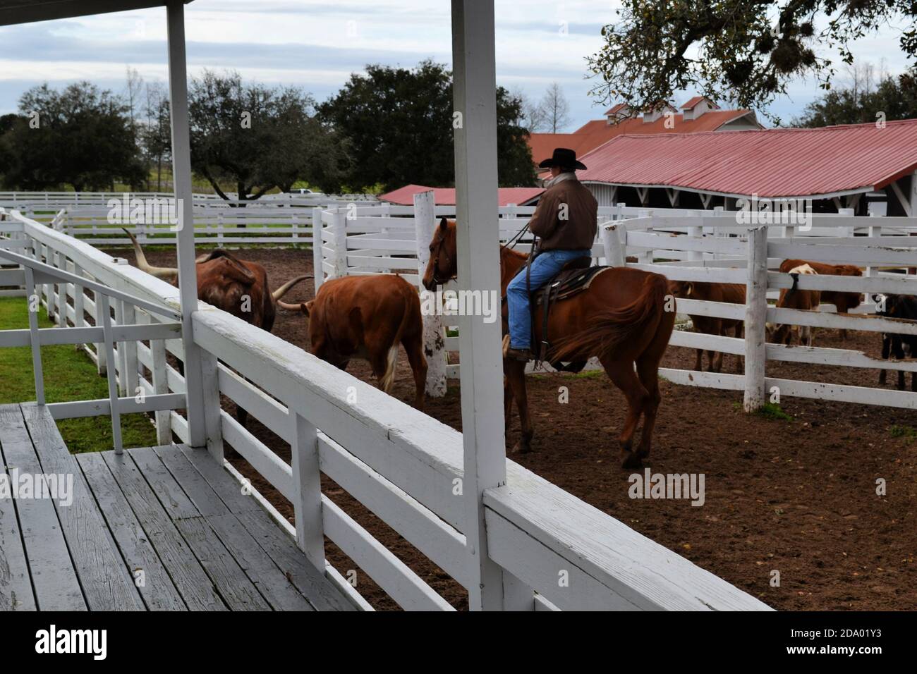 George corral hi-res stock photography and images - Alamy