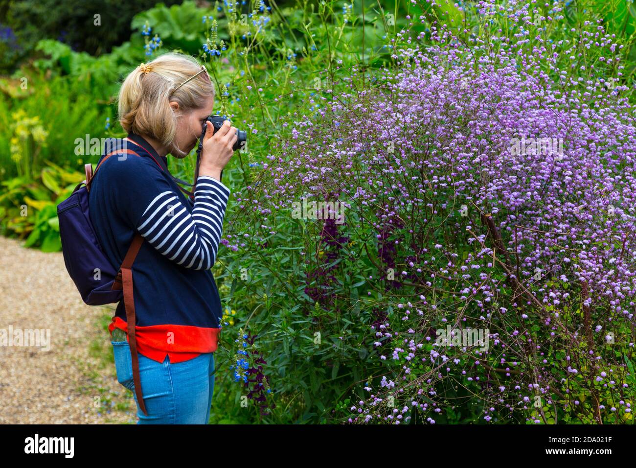 Young woman taking photographs of flowers Stock Photo