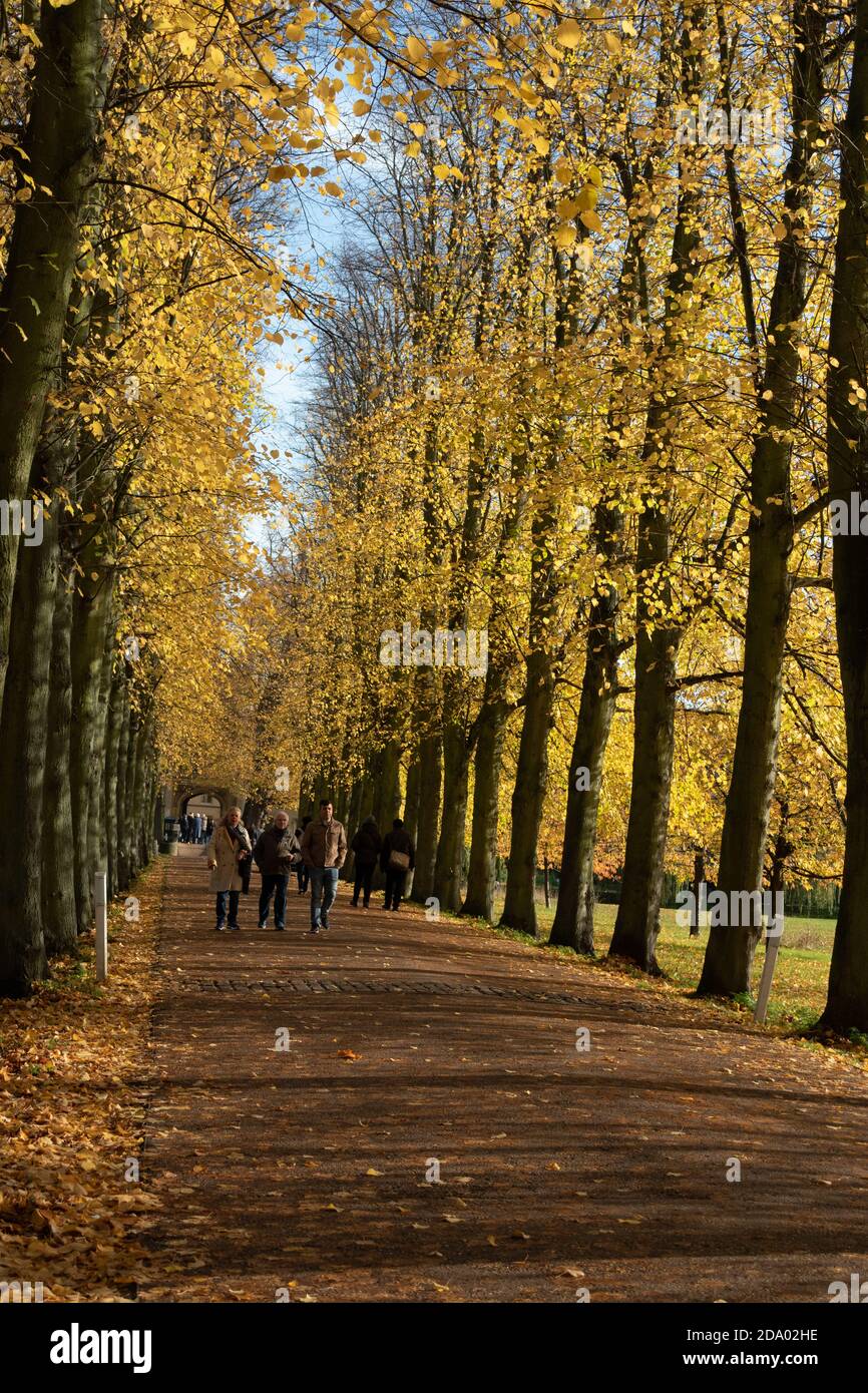 People walking under tree lined path in full autumn colours on Jesus Green Cambridge England Stock Photo