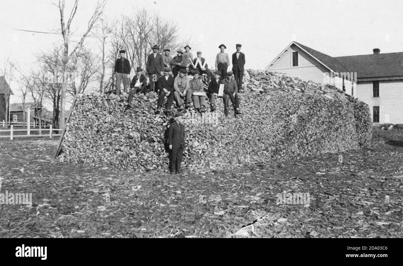 Wood pile after COs had worked on it, Odebolt, Iowa Stock Photo Alamy