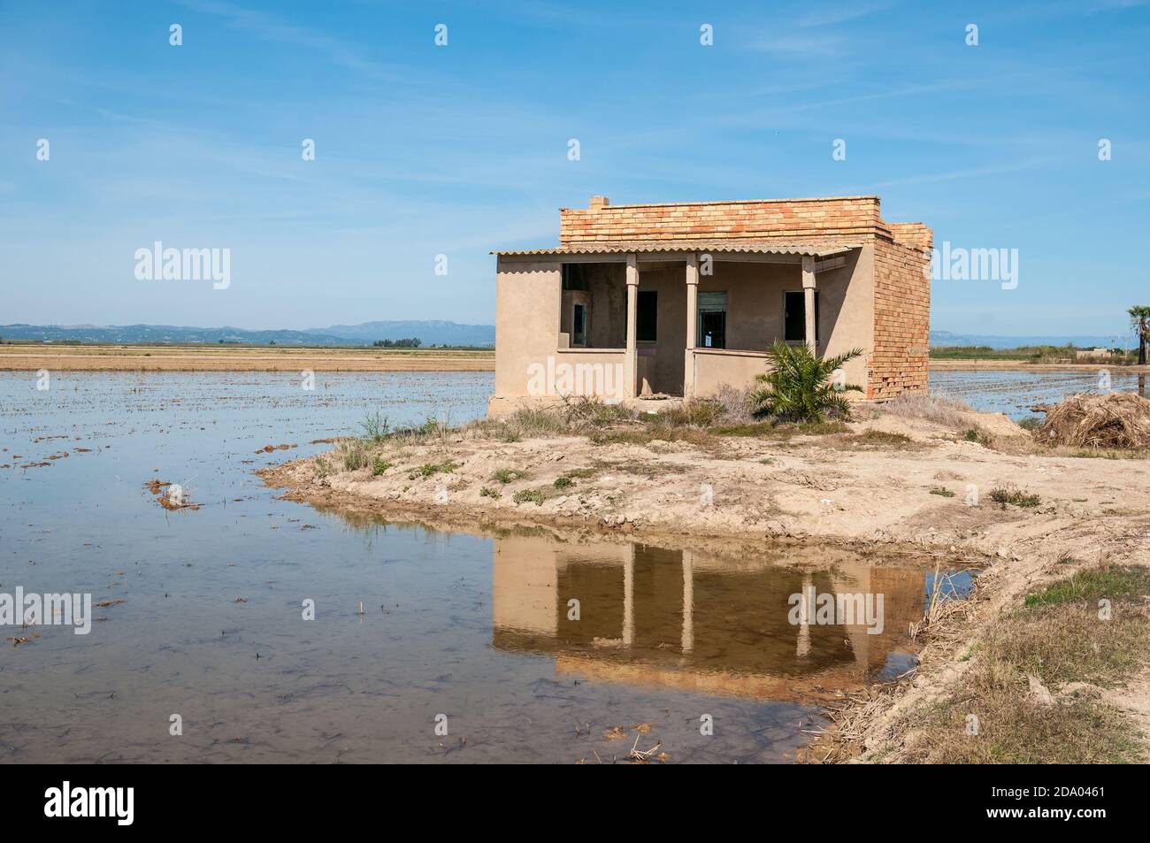 abandoned house in Ebro Delta, flooded rice field, Catalonia, Spain Stock Photo