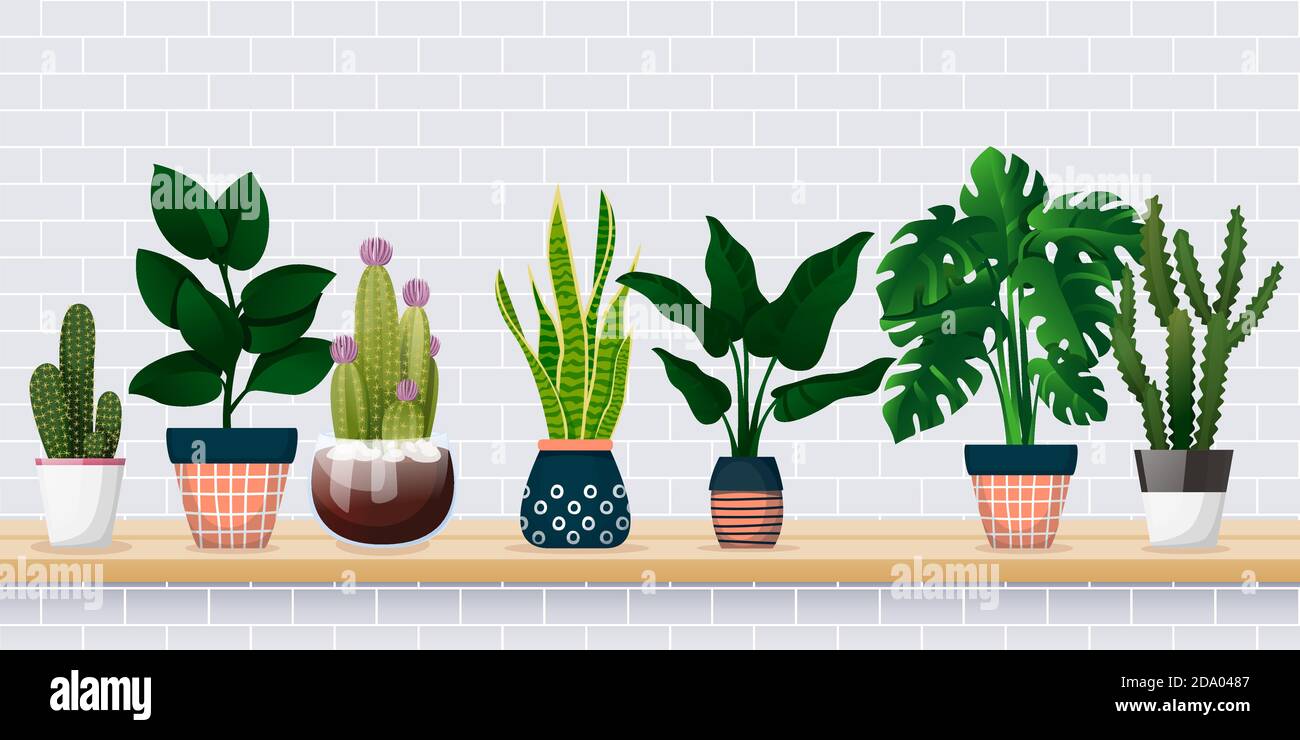 Home plants in decorative pots on shelf against white brick wall. House room decoration design elements. Banner background with copy space. Vector fla Stock Vector