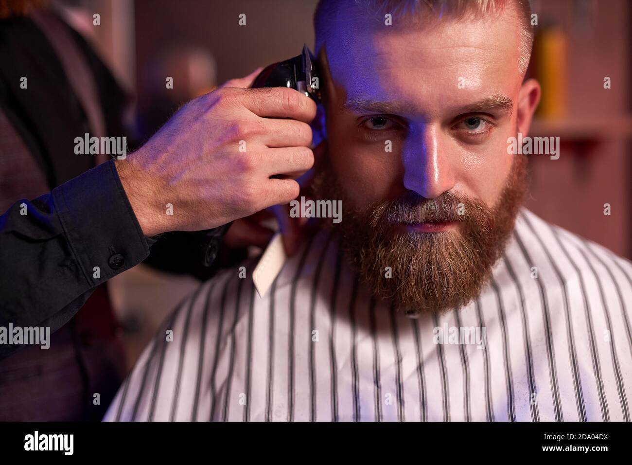 confident caucasian barber mster cuts hair and beard of men in the ...