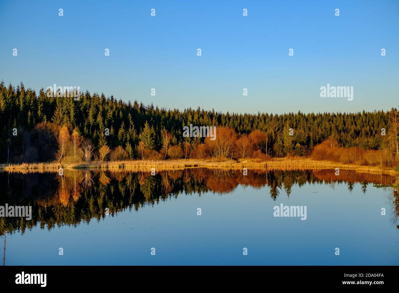 Lake Rubener Teich in the austrian nature reserve Tanner Moor Lake Rubener Teich in the austrian nature reserve Tanner Moor Stock Photo