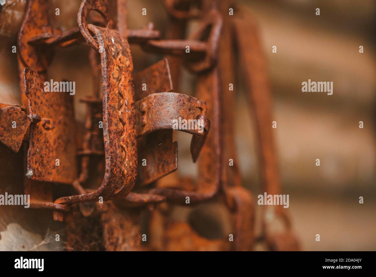 Havahart trap hi-res stock photography and images - Alamy