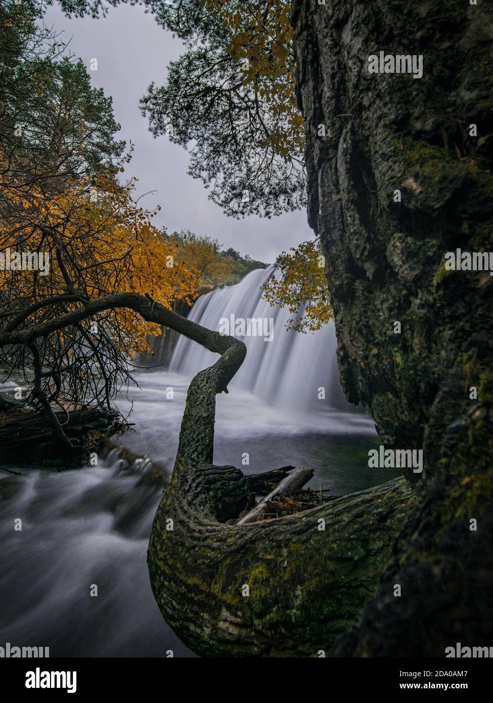 Vertical shot of a waterfall and autumn trees in a park Stock Photo - Alamy