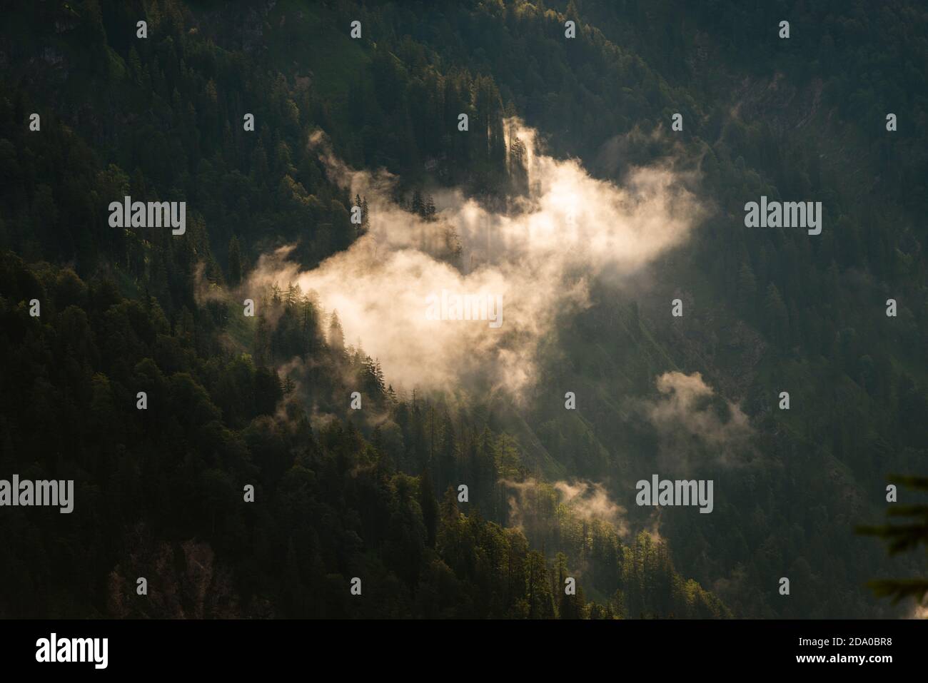 Wisps of clouds at the mountain forest in the morning sun, Bavaria, Germany Stock Photo