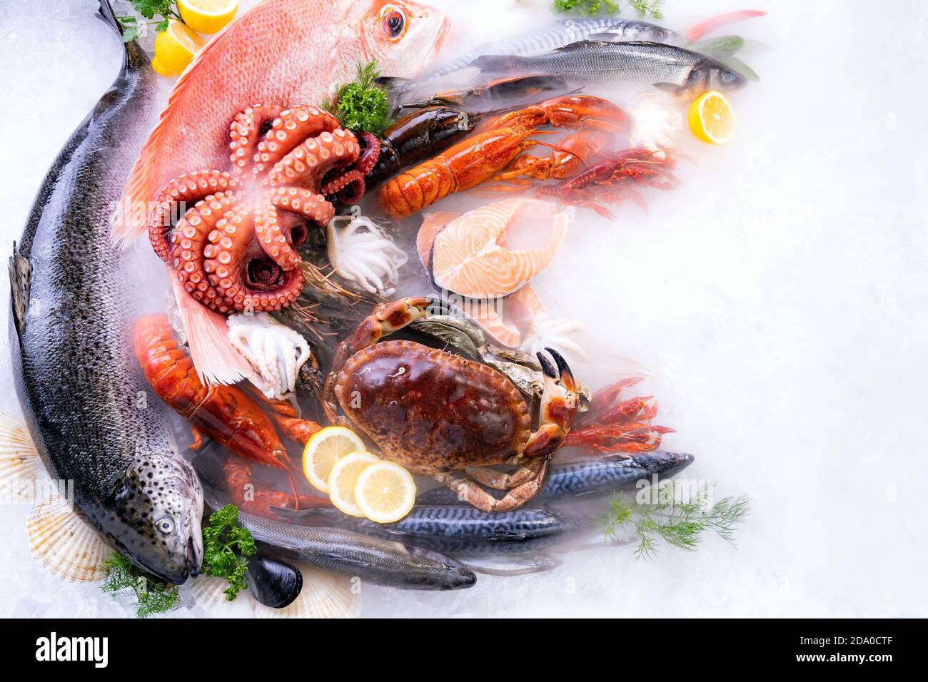 Top view of variety of fresh luxury seafood, Lobster salmon stone crab ...