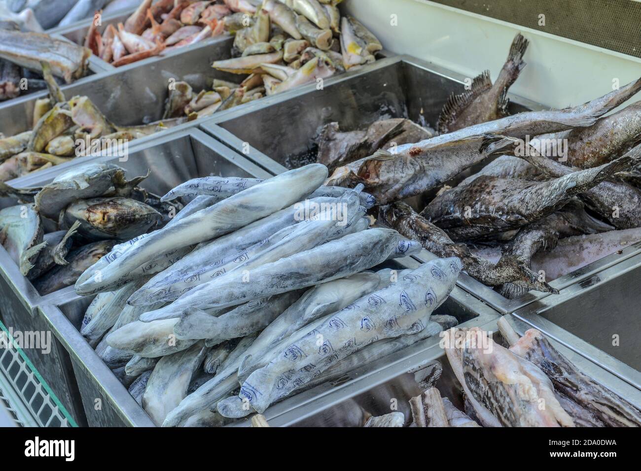 frozen fish and seafood fillets in a refrigerated display case in a