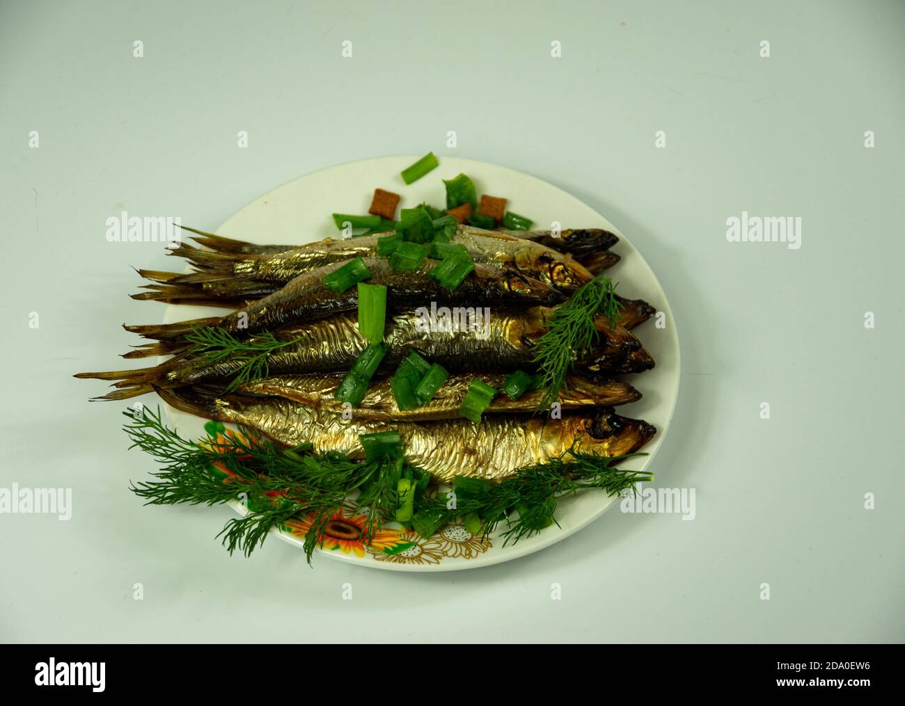Fish herring on a plate with dill and bows, a surprise for the cat