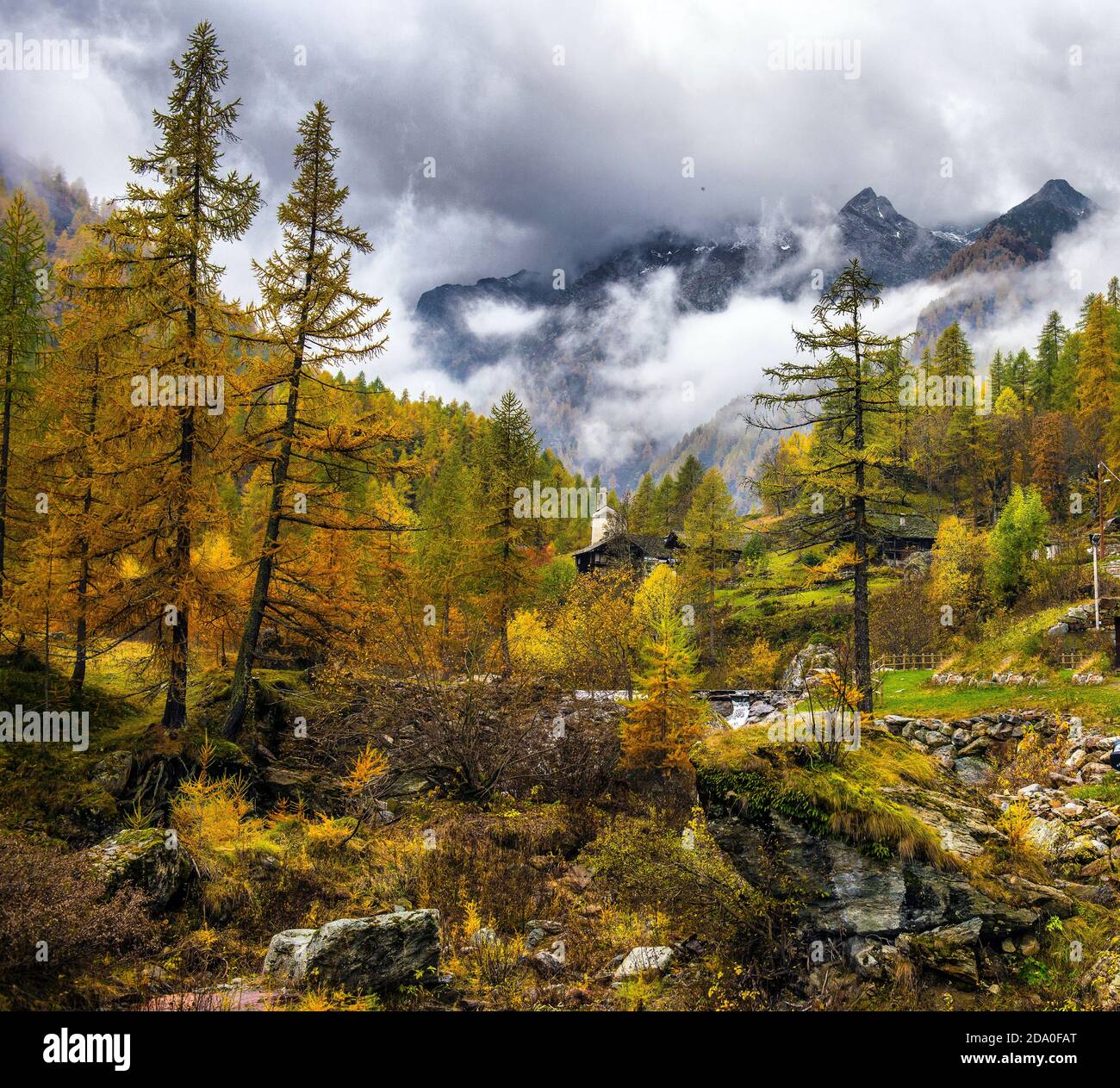 Stunning autumn alpine landscape with colorful redwood forest and ...