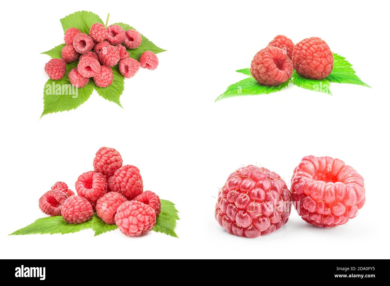 Collage of raspberries over a white background Stock Photo - Alamy