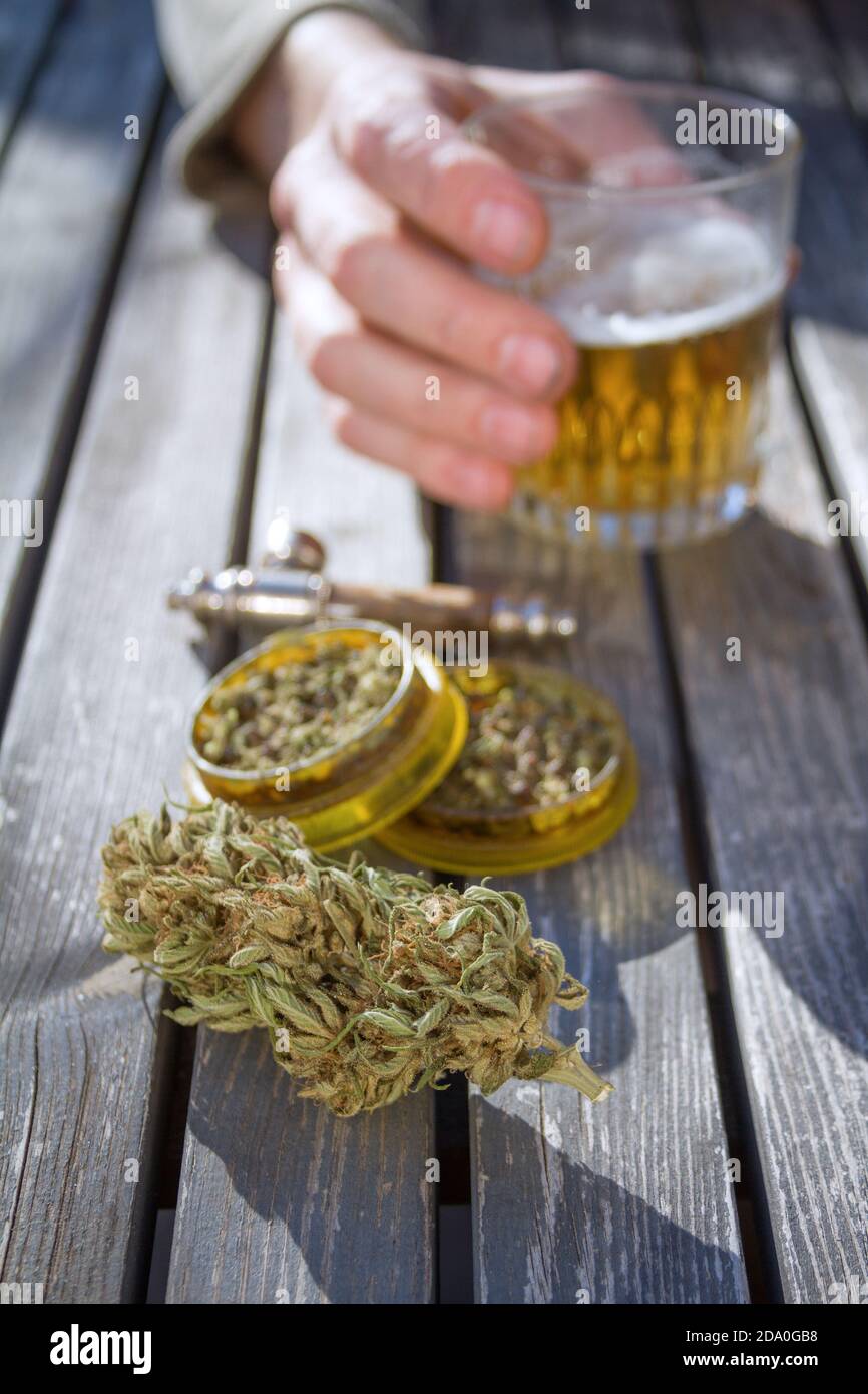 Table with marijuana grinder, marijuana bud, a smoking pipe and male hand holding a glass of beer in the background. Stock Photo