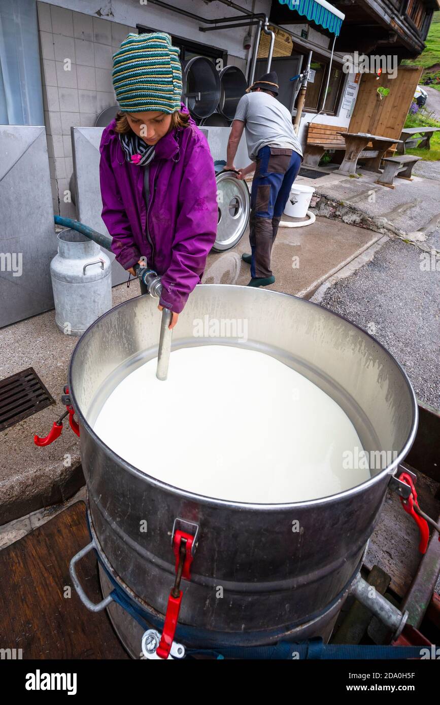 Fresh cow's raw milk is pumped from a barrel by a dairymaid into the cheese dairy, Ackernalm, Tyrol, Austria Stock Photo
