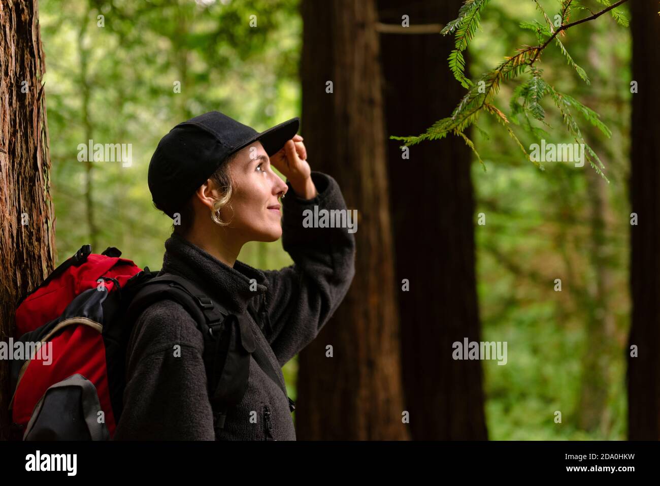 Handsome young bearded male in eyeglasses wearing trendy warm coat and hat looking away thoughtfully while standing against blurred trees in autumn da Stock Photo