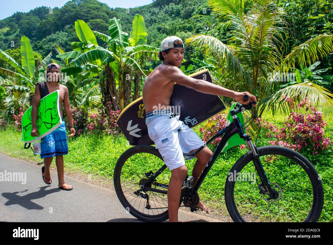 Palm trees and teen boys cyclists at Route de ceinture, Tahiti Nui, Society Islands, French Polynesia, South Pacific. Stock Photo