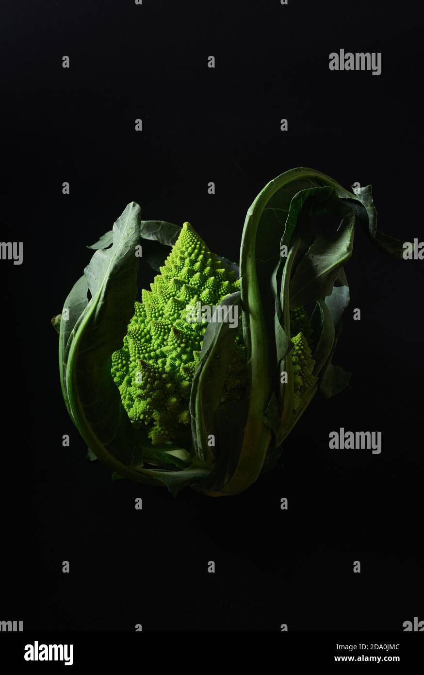 Romanesco broccoli cabbage on black background Stock Photo