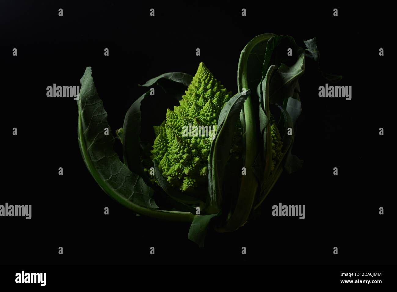 Romanesco broccoli cabbage on black background Stock Photo