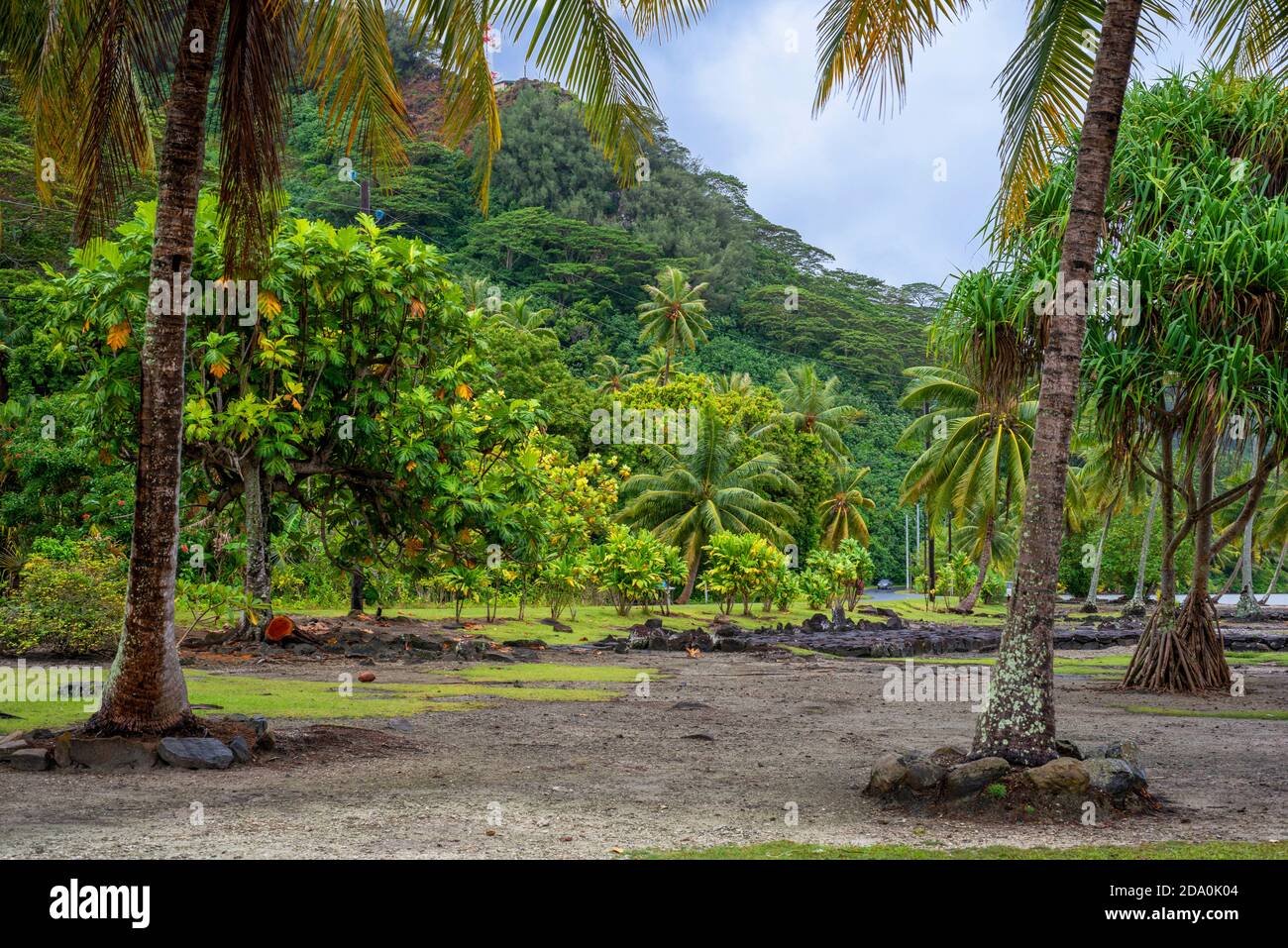 Archaeological site and Marae temple at Maeva, Huahine, Society Islands, French Polynesia, South Pacific. Stock Photo