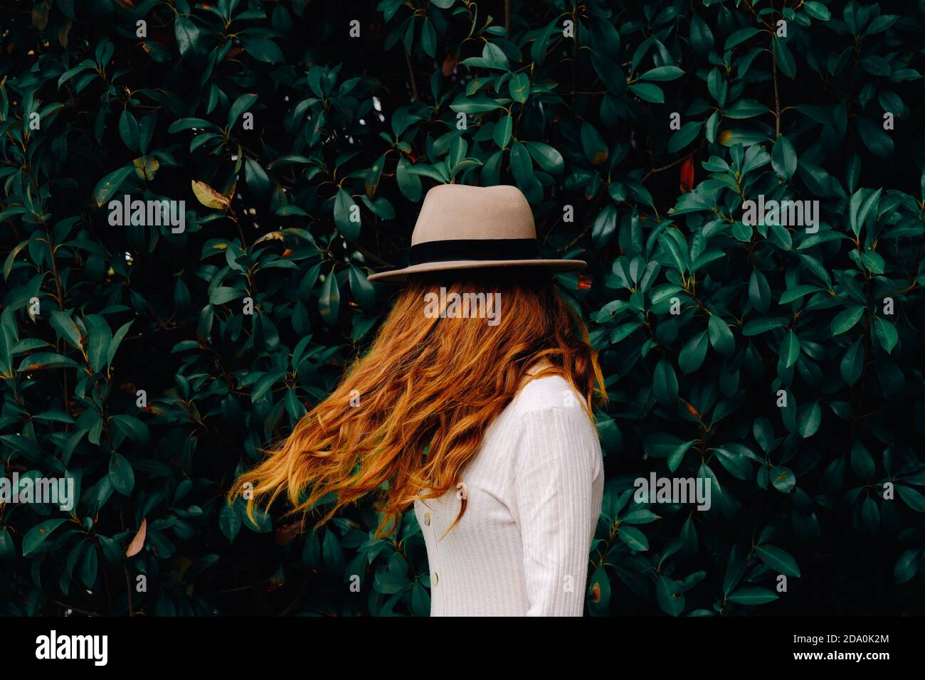 Female with long red hair fluttering in wind standing against garden Stock Photo