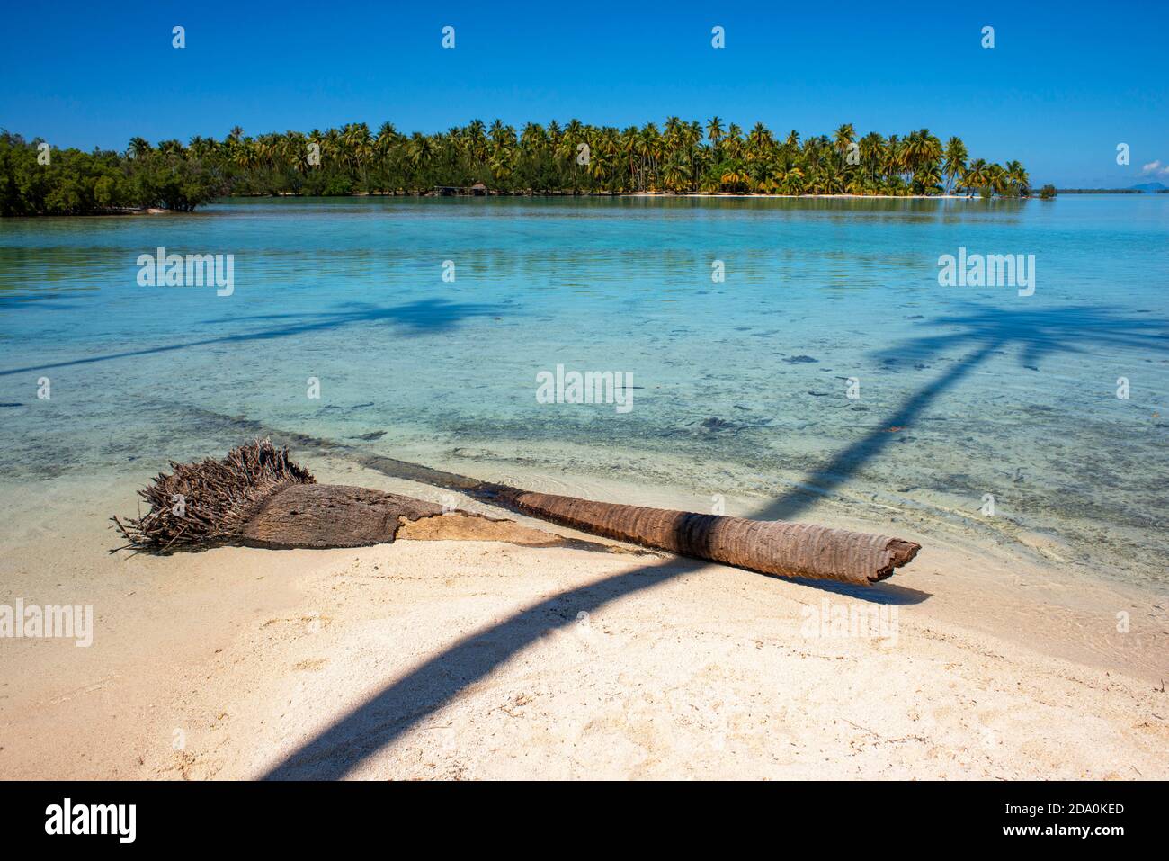 Tropical paradise seascape Taha'a island landscape, French Polynesia ...
