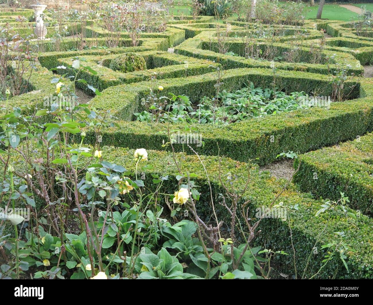 A parterre of box-edged beds surround the old stone Pigeon House in one of the gardens at Rousham House in Oxfordshire, Stock Photo