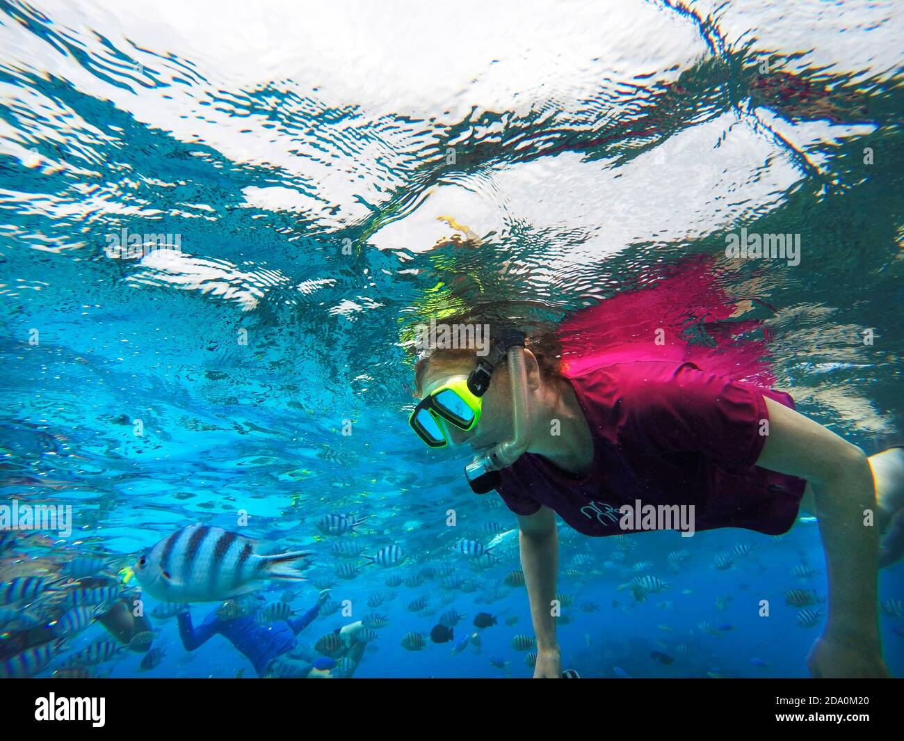 Snorkeling excursion in the shallow waters of the Bora Bora lagoon, Moorea, French Polynesia