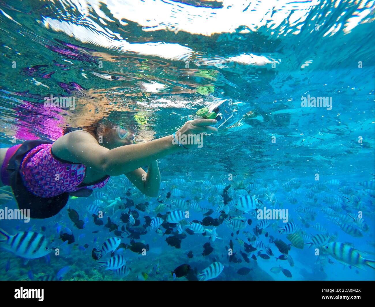 Snorkeling excursion in the shallow waters of the Bora Bora lagoon, Moorea, French Polynesia
