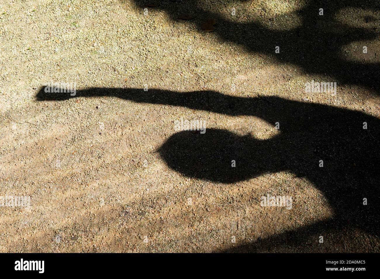 Shadow Rejoicing Day Of Rejoicing High Resolution Stock Photography and Images - Alamy