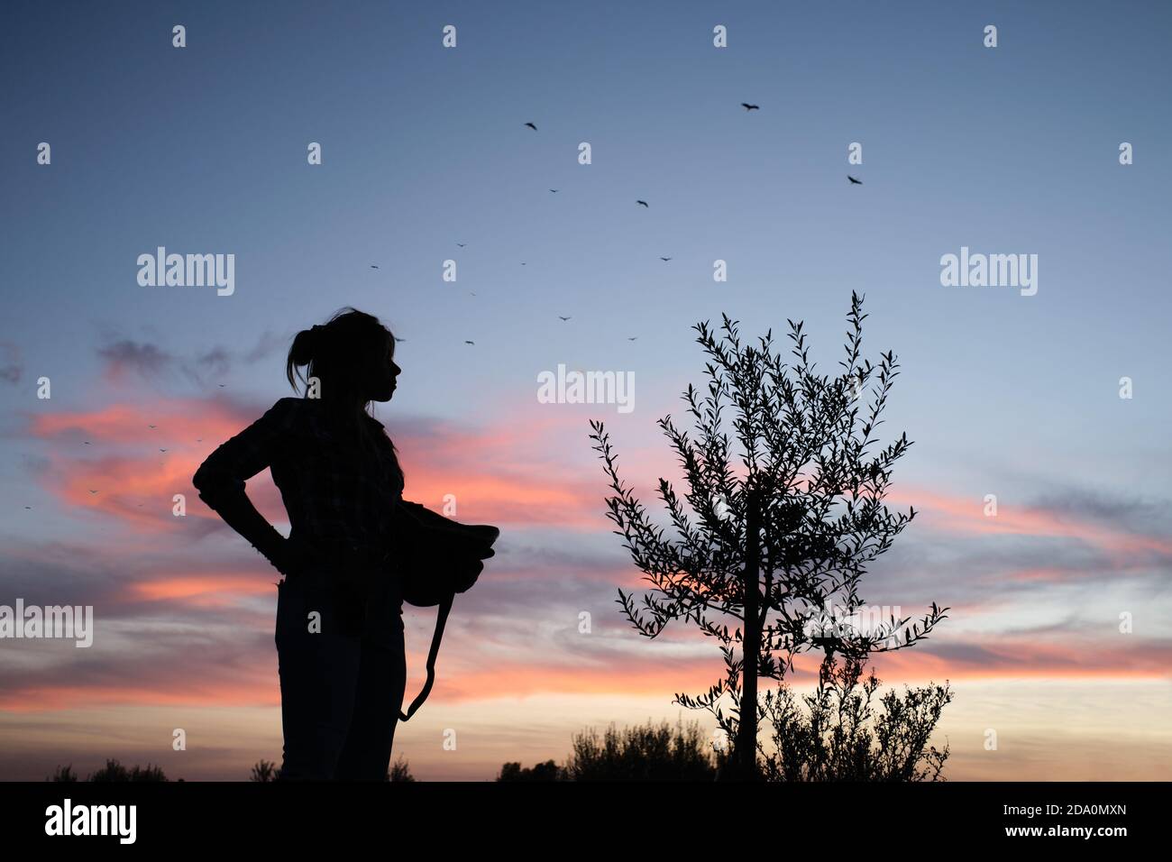 Low angle side view of silhouette of anonymous female farmer standing in garden in rural area and enjoying sundown after working day Stock Photo