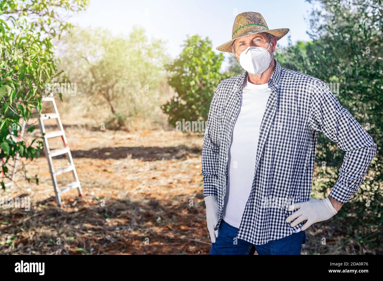 Mature male gardener in gloves standing with hand on waist in garden with green fruit plants Stock Photo
